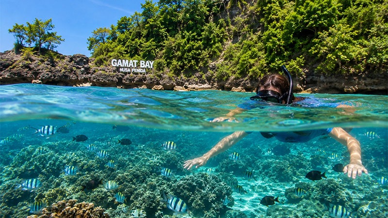 Bali Penida Gili