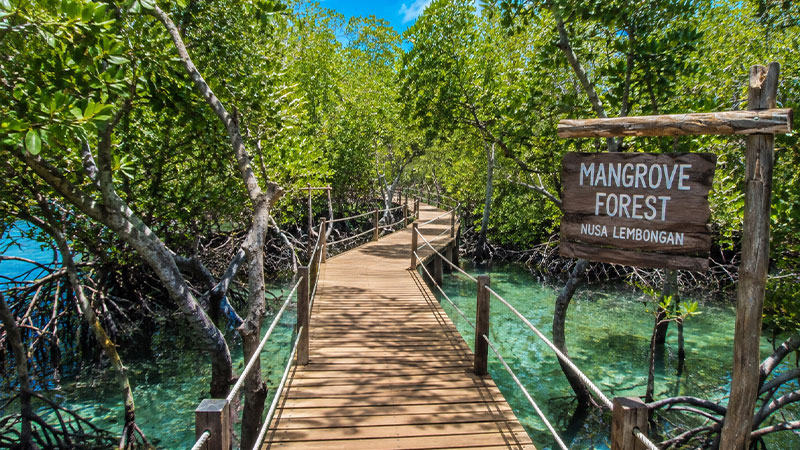 Bali Penida Gili
