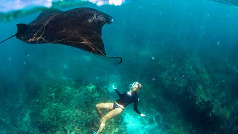Snorkling Nusa Penida