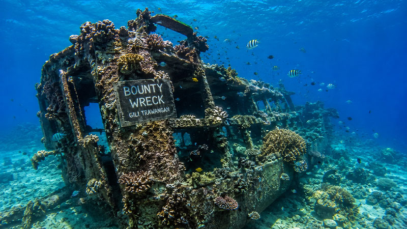 Best Snorkeling Spots in Gili