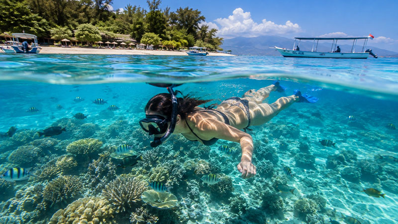Best Snorkeling Spots in Gili