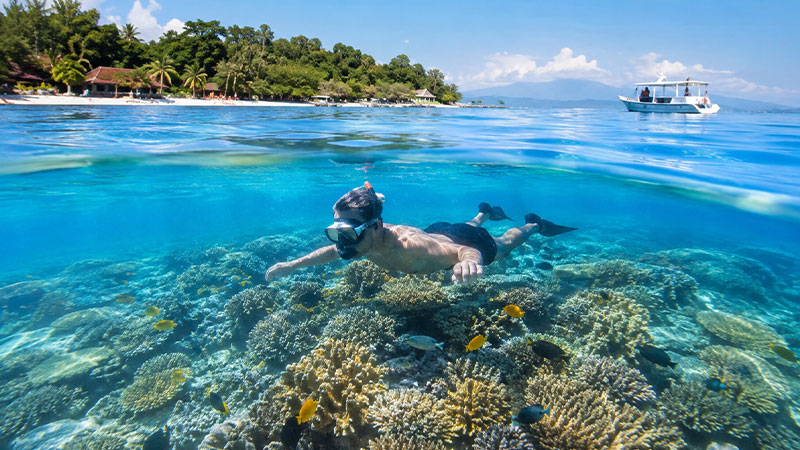 Best Snorkeling Spots in Gili