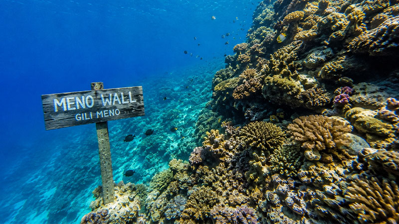 Best Snorkeling Spots in Gili